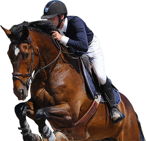 Saut d'obstacles
