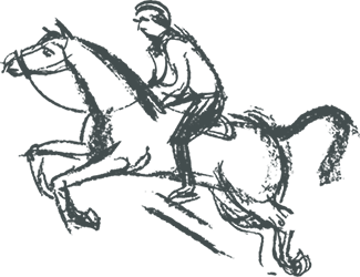 Cheval dessin